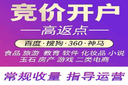 电商行业SEM运营的挑战与成功案例